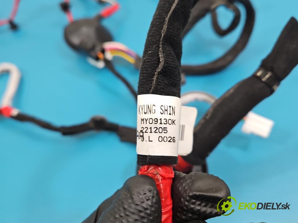 Hyundai Elantra VII 2020- 1.6 16V manual 90.2 kW 1598 cm3 4- Zväzok: dvere predné vľavo: 91603-AA621