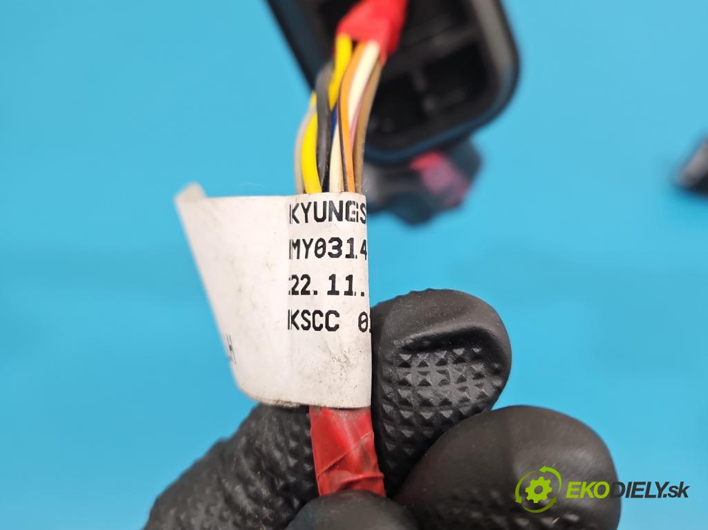 Hyundai Elantra VII 2020- 1.6 16V manual 90.2 kW 1598 cm3 4- Balíček: dveře zadní vlevo 91620-AA050AA