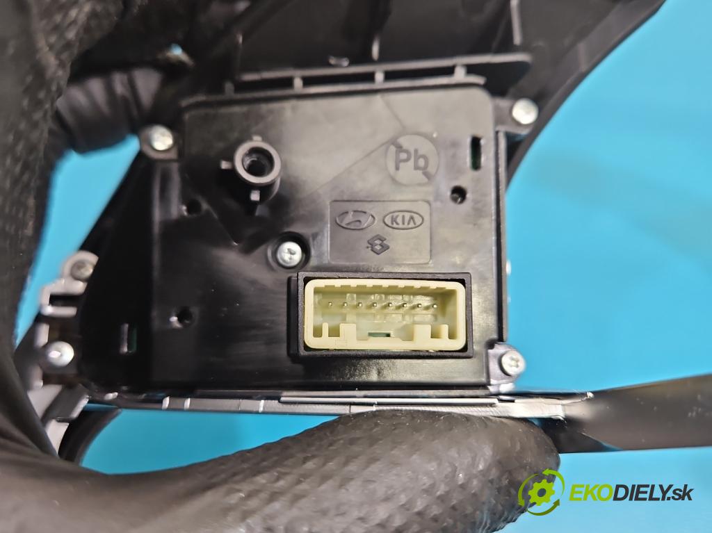 Hyundai Elantra VII 2020- 1.6 16V manual 90.2 kW 1598 cm3 4- prepínač multifunkční: řízení: 96700AA800 (Prepínacie páčky pod volantom)