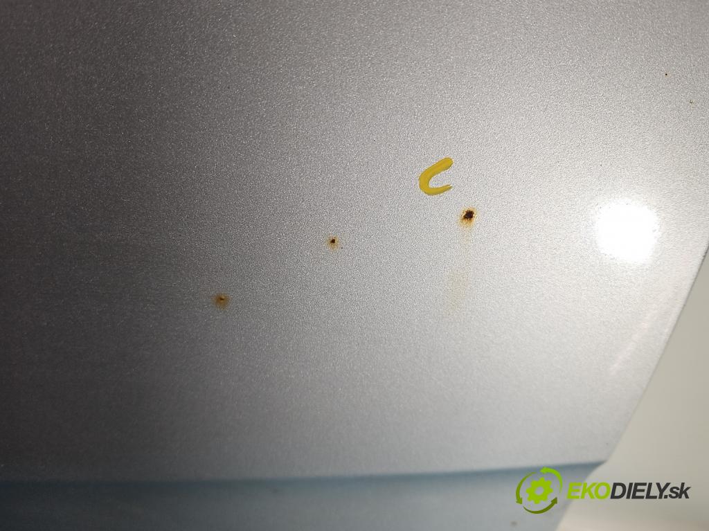 Hyundai H1 II 2007-2023 2.5 crdi 170 hp manual 125 kW 2497 cm3 5- zadní kufrové dveře  (Zadní kapota (kufr))