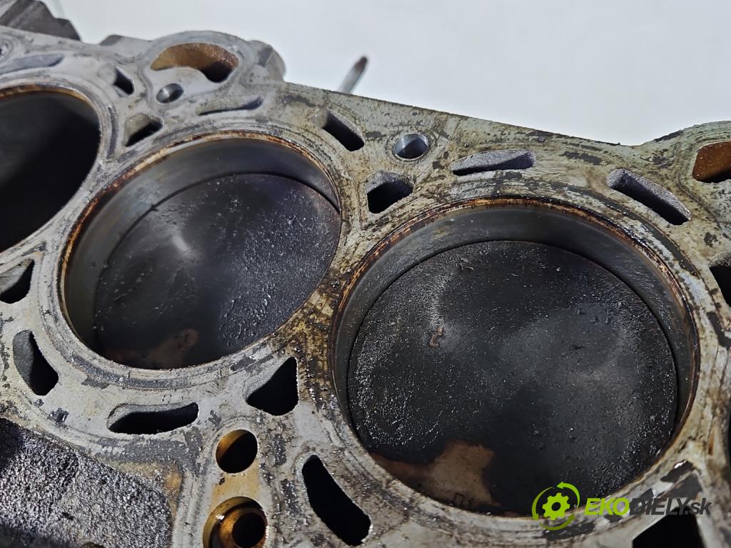 Volvo V70 III 2007-2016 2.0 16V 145 HP manual 107 kW 1999 cm3 5- Blok motora B4204S4 (Blok motora)