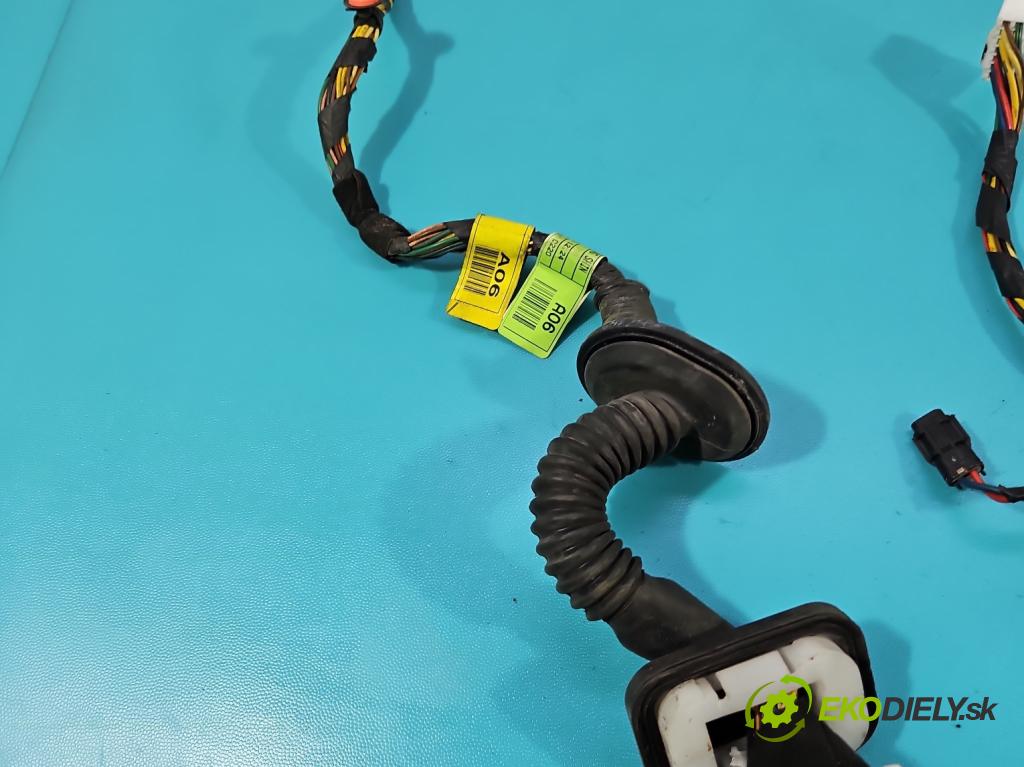 Hyundai H1 II 2007-2023 2.5 crdi 170 HP manual 125 kW 2497 cm3 5- Zväzok: dvere predné vľavo: 91600-4H060