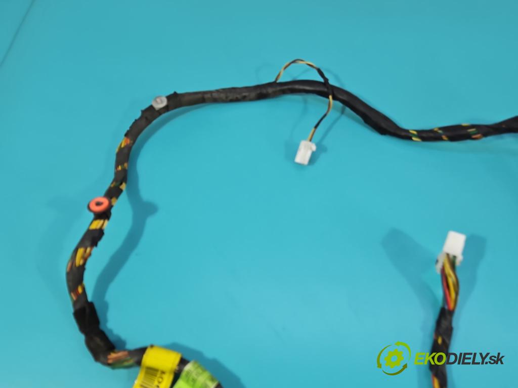 Hyundai H1 II 2007-2023 2.5 crdi 170 HP manual 125 kW 2497 cm3 5- Zväzok: dvere predné vľavo: 91600-4H060