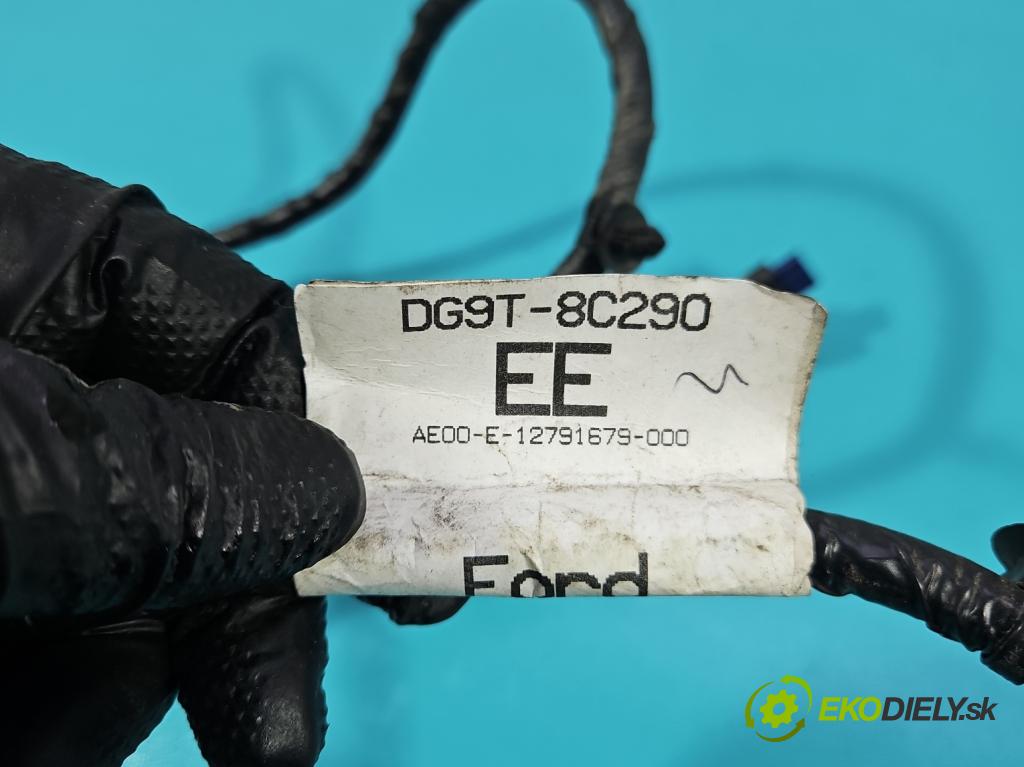 Ford Mondeo Mk5 2014-2022 2.0 16V 140 HP automatic 103 kW 1999 cm3 4- Zväzok: ostatné DG9T-8C290-EE