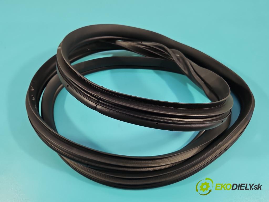 Hyundai Elantra VII 2020- 1.6 16V manual 90.2 kW 1598 cm3 4- Těsnění: dveře zadní pravé  (Karoserie ostatní)