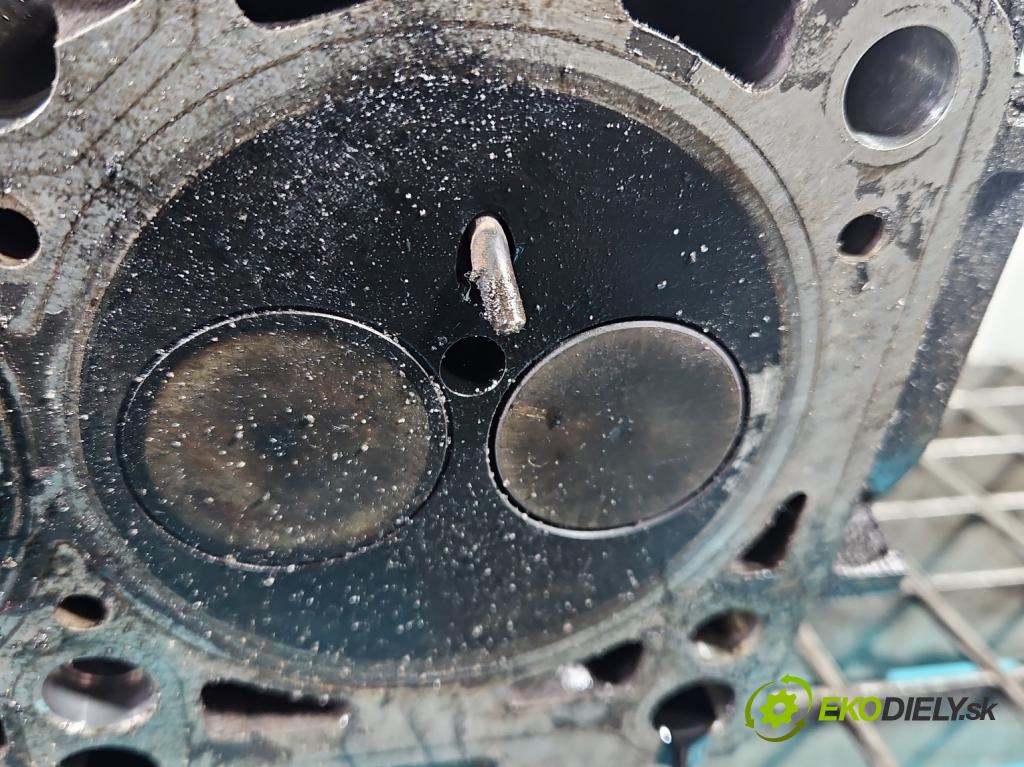 Vw Golf plus 1.9 tdi 105 HP manual 77 kW 1896 cm3 5- Hlava: motora 038103373R