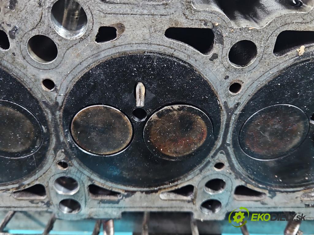 Vw Golf plus 1.9 tdi 105 HP manual 77 kW 1896 cm3 5- Hlava: motora 038103373R