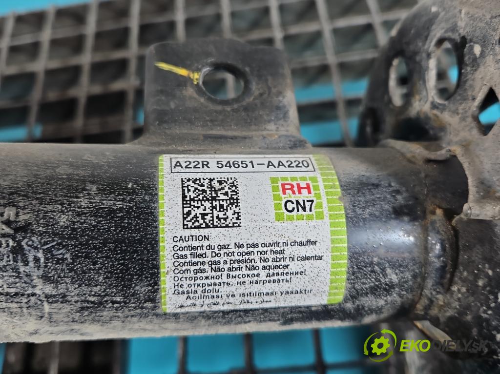 Hyundai Elantra VII 2020- 1.6 16V manual 90.2 kW 1598 cm3 4- tlmič predné pravý 54651-AA220 (Kľučka dverí ostatné)