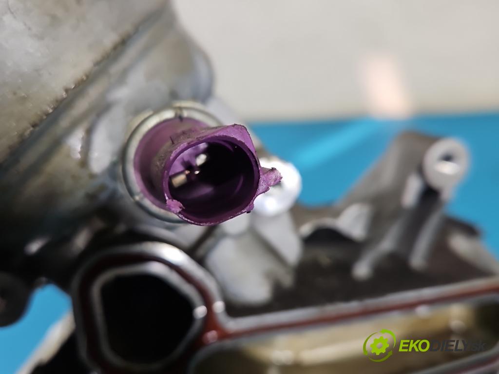 Audi Q7 2015- 3.0 TFSI CRE: 333KM: automatic 245 kW 2995 cm3 5- obal načasovanie 06E103173 (Kryt motora)