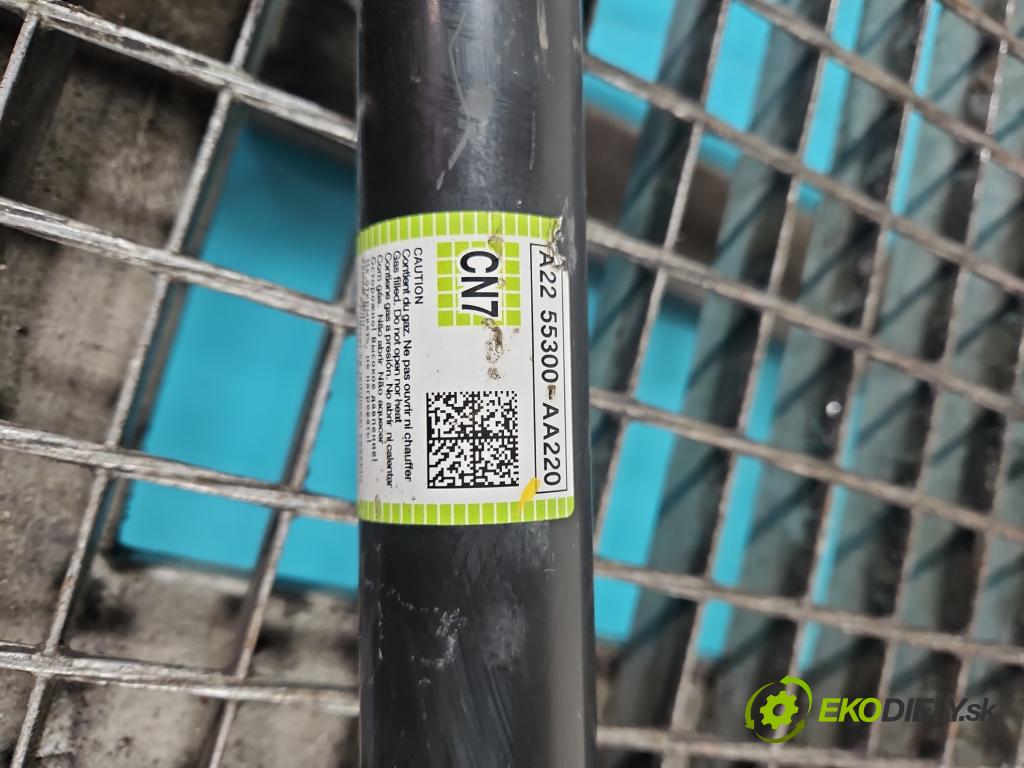 Hyundai Elantra VII 2020- 1.6 16V manual 90.2 kW 1598 cm3 4- tlmič zadné ľavý 55300-AA220 (Kľučka dverí ostatné)