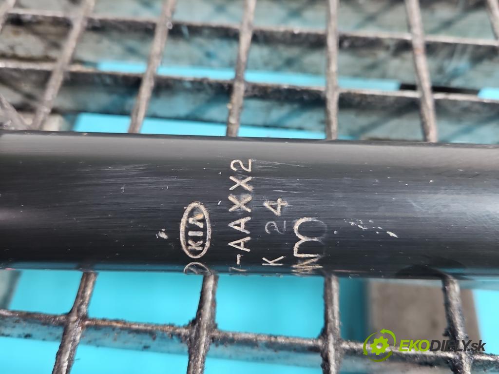 Hyundai Elantra VII 2020- 1.6 16V manual 90.2 kW 1598 cm3 4- tlmič zadné ľavý 55300-AA220 (Kľučka dverí ostatné)