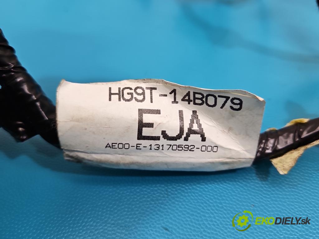 Ford Mondeo Mk5 2014-2022 2.0 16V 140 HP automatic 103 kW 1999 cm3 4- Zväzok: ostatné HG9T-14B079-EJA