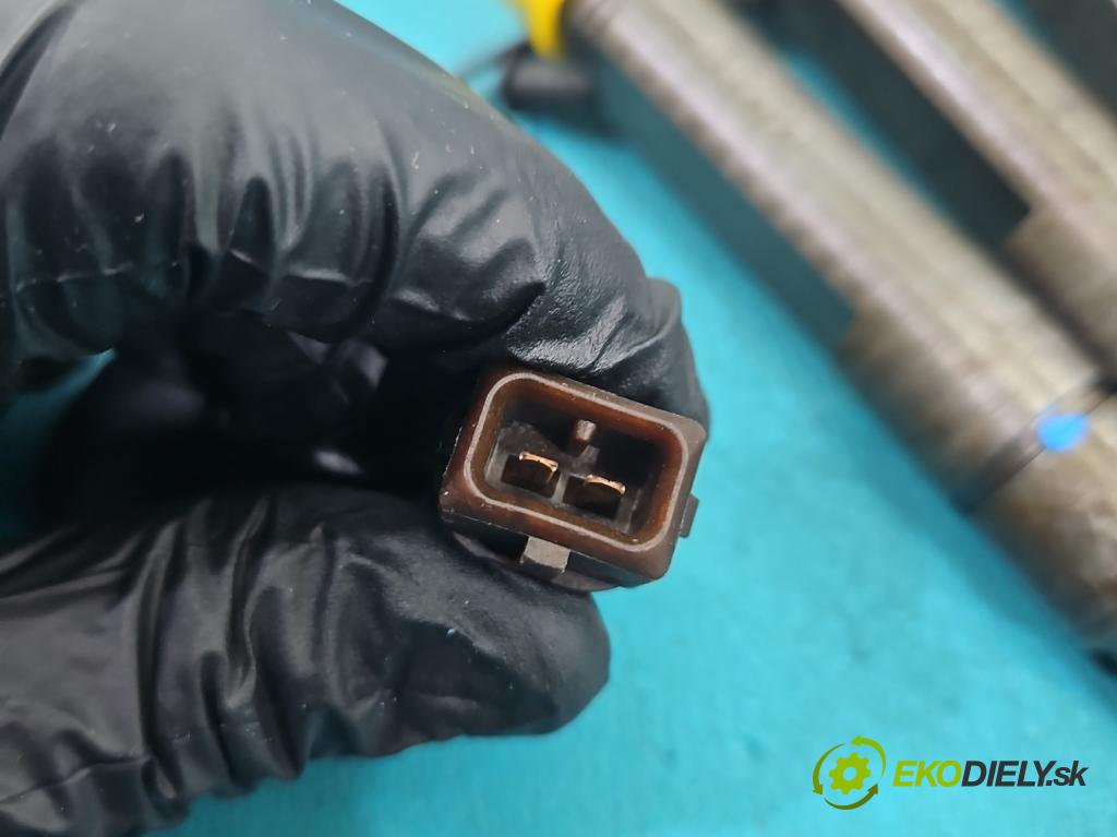 Audi A4 B5 1994-2001 1.9 tdi 90 HP manual 66 kW 1896 cm3 4- vstrek 028130201J (Vstrekovač paliva)