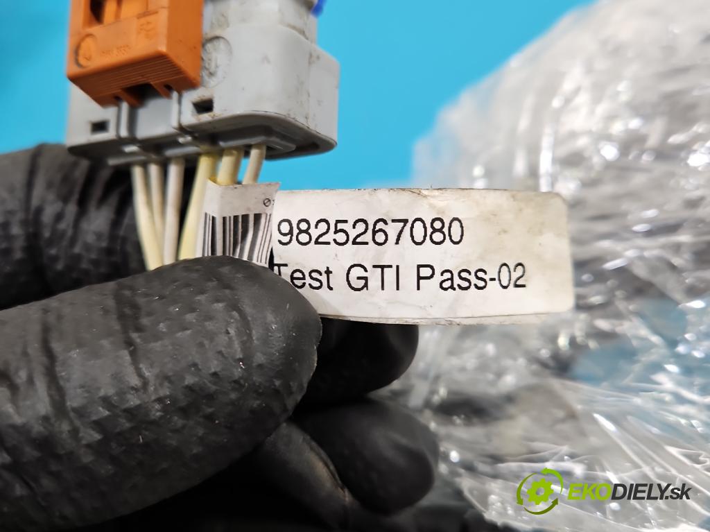 Citroen C3 III 2016-2024 1.2 12V 83 HP manual 61 kW 1199 cm3 5- Zväzok: dvere predné vľavo: 9825267080