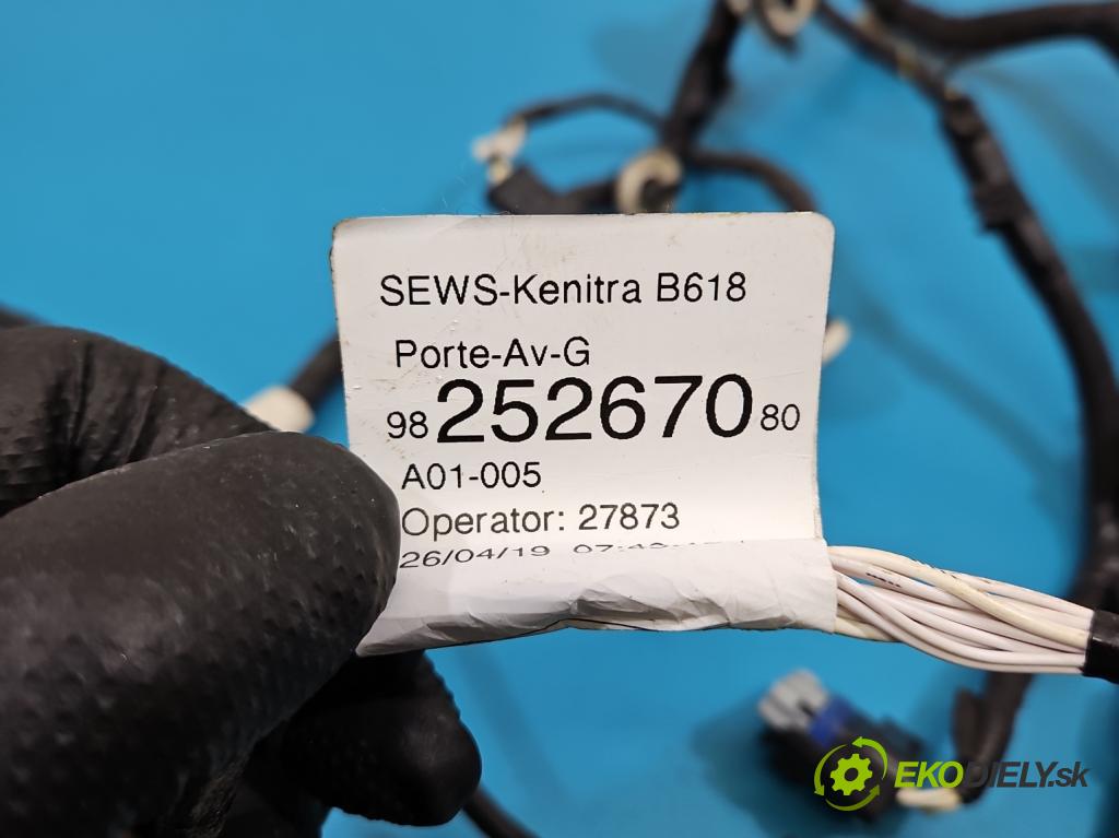 Citroen C3 III 2016-2024 1.2 12V 83 HP manual 61 kW 1199 cm3 5- Zväzok: dvere predné vľavo: 9825267080