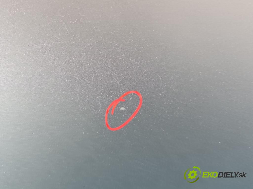 Vw Golf V 2003-2009 1.9 tdi 105 HP manual 77 kW 1896 cm3 5- dvere zadné ľavé  (Kľučka dverí ostatné)