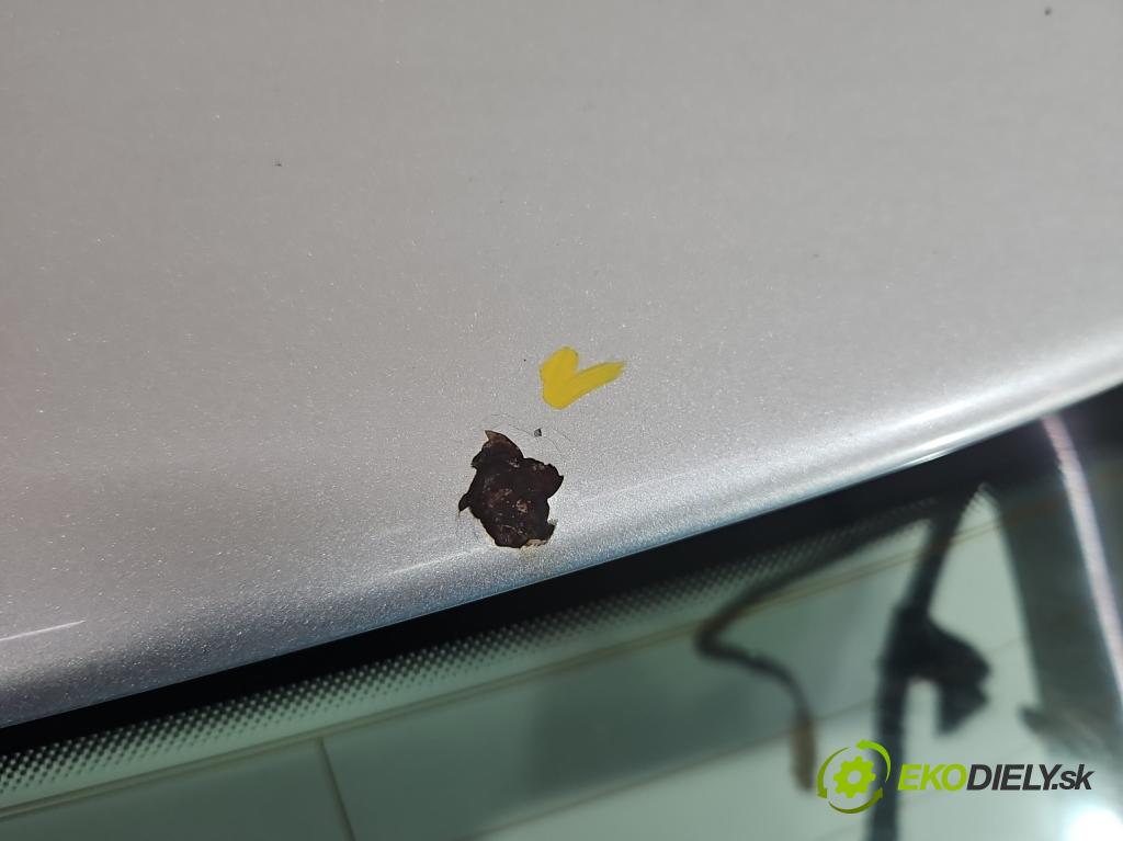 Vw Golf V 2003-2009 1.9 tdi 105 HP manual 77 kW 1896 cm3 5- zadna kufor  (Kapota zadná (kufor))