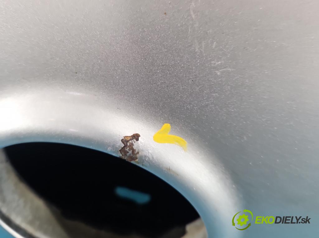 Vw Golf V 2003-2009 1.9 tdi 105 HP manual 77 kW 1896 cm3 5- zadna kufor  (Kapota zadná (kufor))