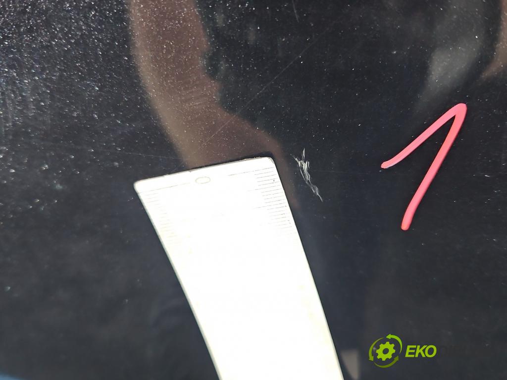 Opel Insignia A 2008-2017 2.0 cdti 131 HP manual 96 kW 1956 cm3 5- kapota predná