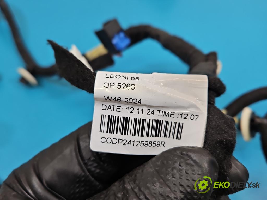 Dacia Duster III 24- 1.2 131 hp manual 96 kW 1199 cm3 5- Balíček: dveře přední vlevo 241259859R