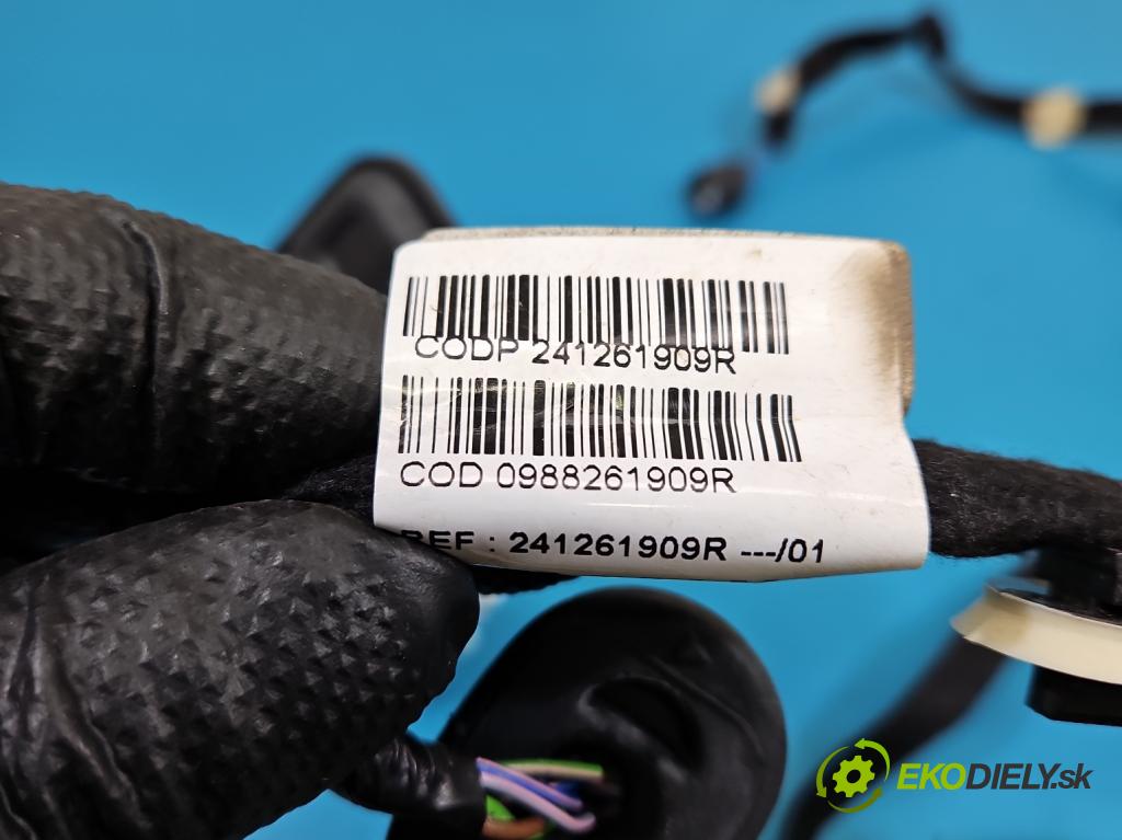 Dacia Duster III 24- 1.2 131 HP manual 96 kW 1199 cm3 5- Zväzok: dvere zadné pravých 241261909R