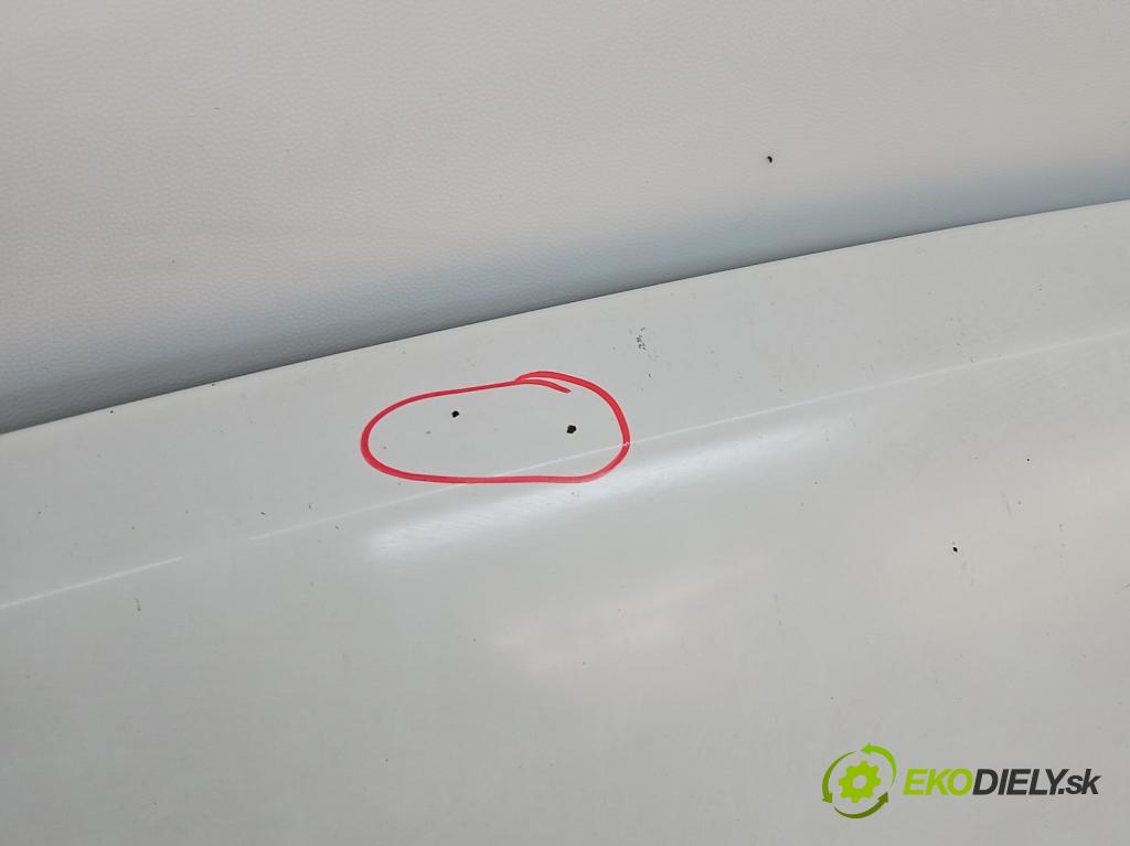 Nissan Qashqai I J10 2006-2013 2.0 dci 150 HP manual 110 kW 1995 cm3 5- kapota predná