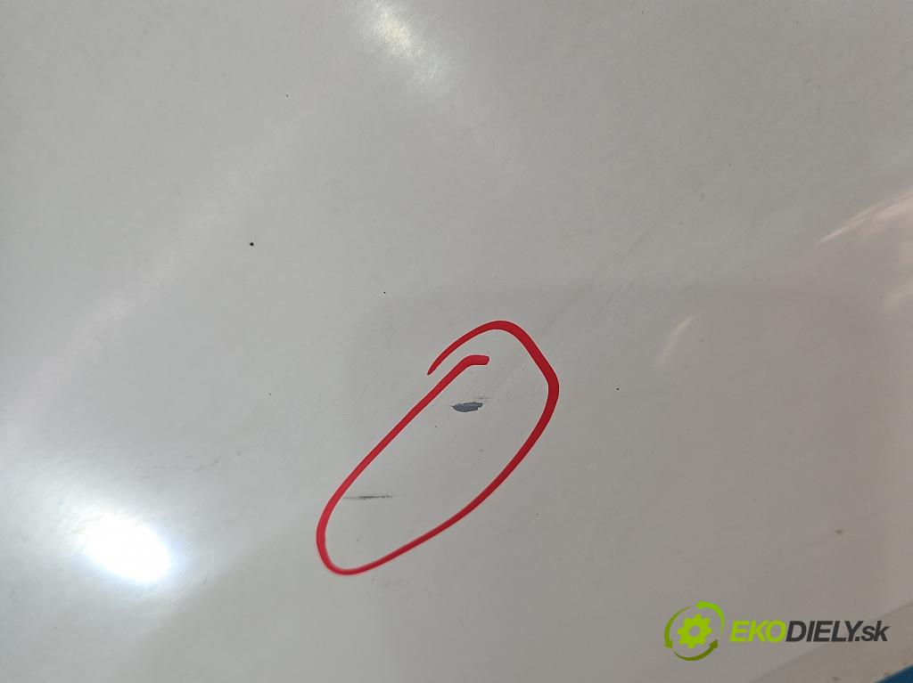 Nissan Qashqai I J10 2006-2013 2.0 dci 150 HP manual 110 kW 1995 cm3 5- blatník predné ľavý  (Blatník predný ľavý)