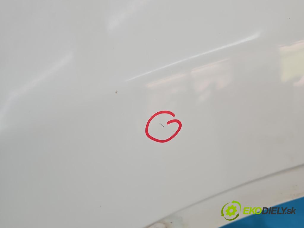 Nissan Qashqai I J10 2006-2013 2.0 dci 150 HP manual 110 kW 1995 cm3 5- blatník predné ľavý  (Blatník predný ľavý)