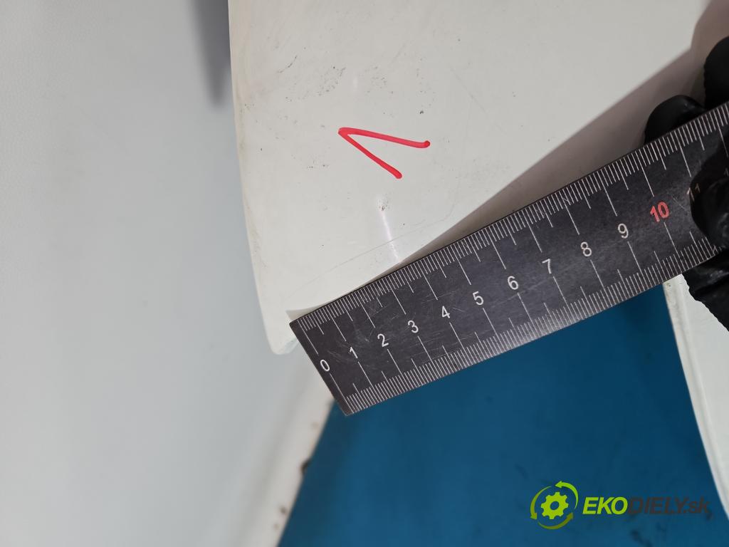 Nissan Qashqai I J10 2006-2013 2.0 dci 150 HP manual 110 kW 1995 cm3 5- blatník predné ľavý  (Blatník predný ľavý)