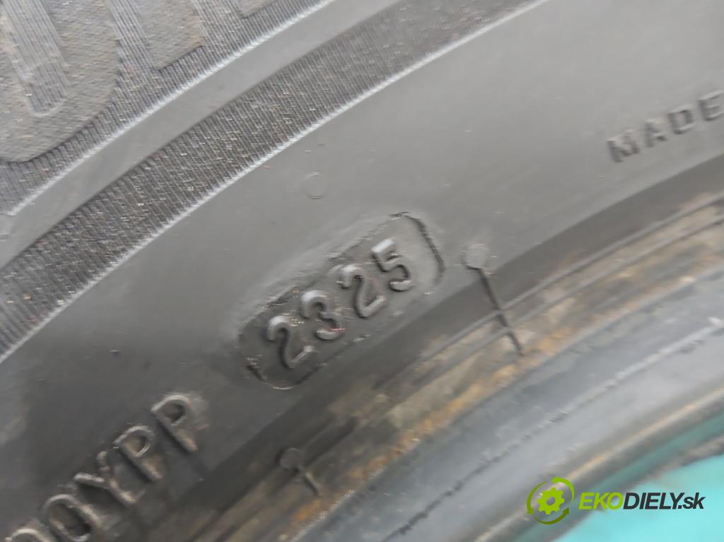 Renault Master III 2010-2024 2.3 dci 131 HP manual 96 kW 2299 cm3 5- pneumatika 1 kus