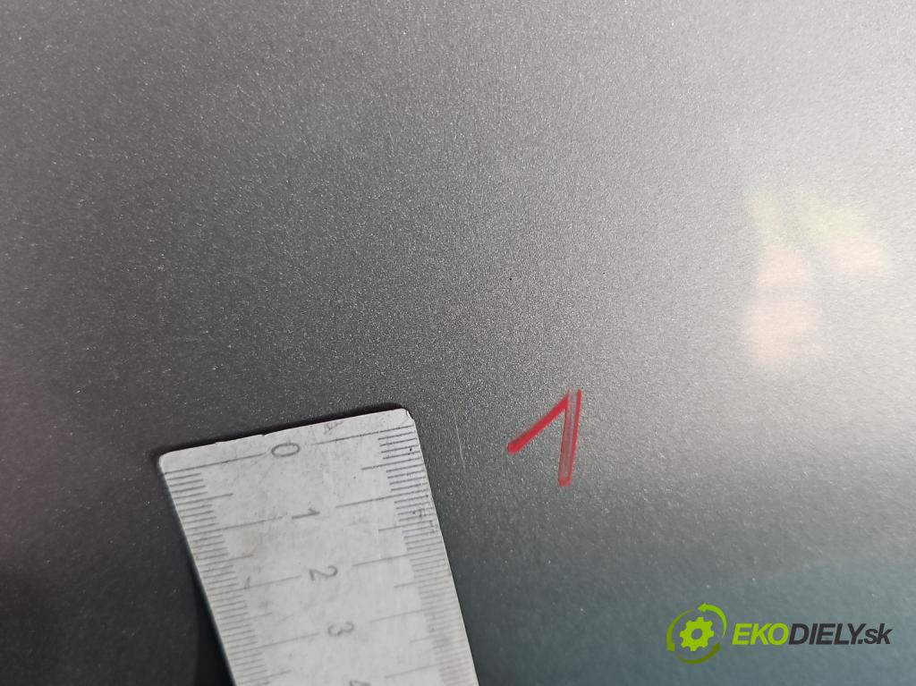 Peugeot 206 1.1 8V 60 HP manual 44.1 kW 1124 cm3 3- dvere predné pravé  (Kľučka dverí ostatné)