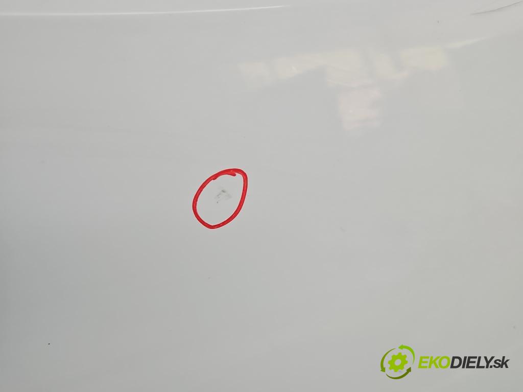 Citroen Berlingo II 2008-2018 1.6 hdi 90 HP manual 66 kW 1560 cm3 5- dvere predné pravé  (Kľučka dverí ostatné)