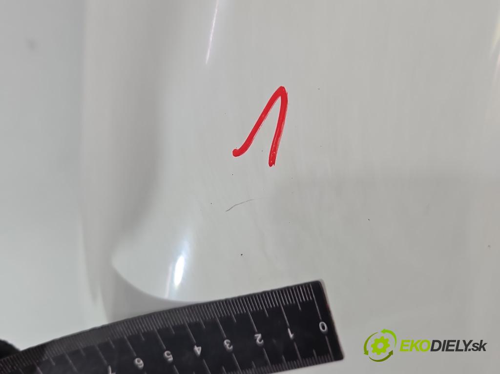 Citroen Berlingo II 2008-2018 1.6 hdi 90 HP manual 66 kW 1560 cm3 5- dvere zadné ľavé  (Kľučka dverí ostatné)