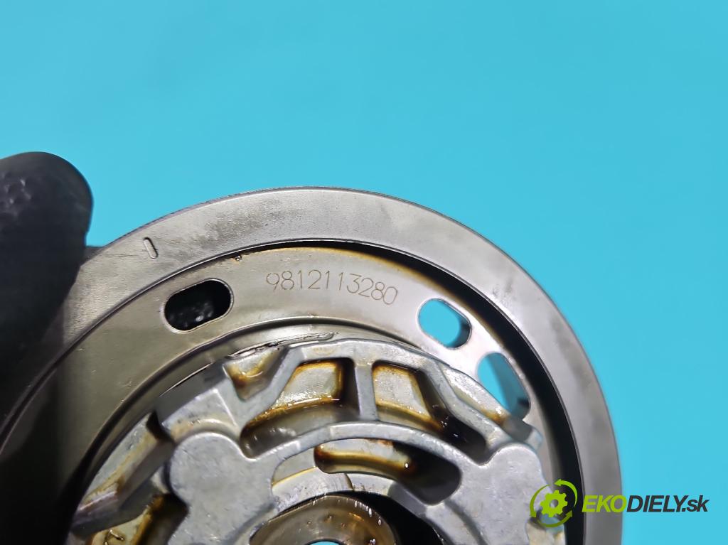 Citroen C3 III 2016-2024 1.2 12V 83 HP manual 61 kW 1199 cm3 5- koleso časovanie načasovanie 9812113280