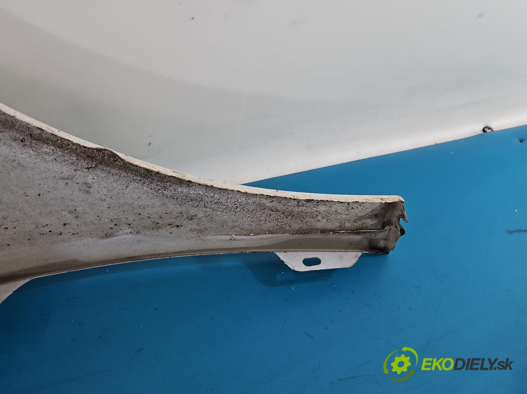 Citroen Berlingo II 2008-2018 1.6 hdi 90 HP manual 66 kW 1560 cm3 5- blatník predné ľavý  (Blatník predný ľavý)