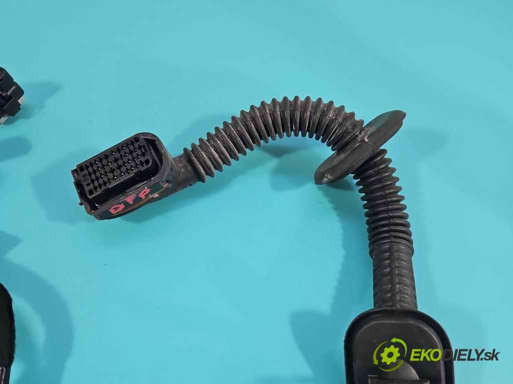 Renault Clio V 2019- 1.0 91 KM automatic 67 kW 999 cm3 5- Zväzok: dvere predné pravých 241249324R