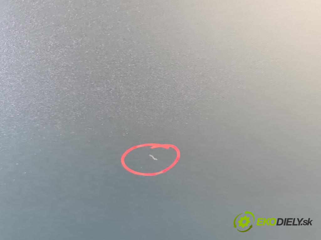 Vw Passat B6 2005-2010 1.9 tdi 105 hp manual 77 kW 1896 cm3 4- dveře zadní levé (Klika dveří ostatní)