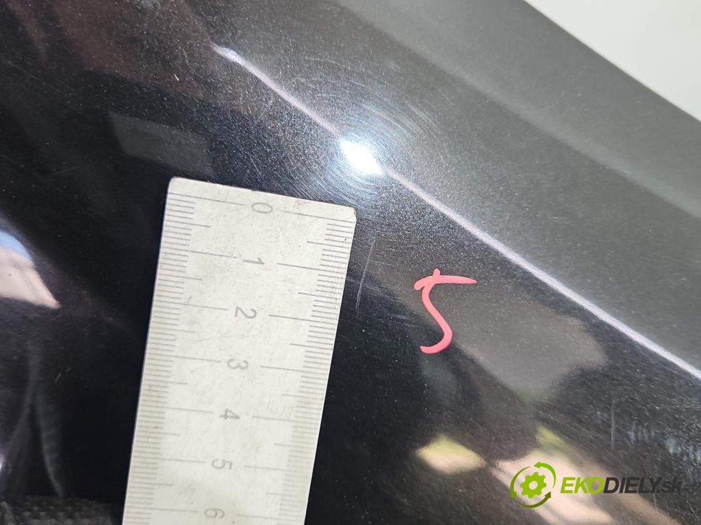 Renault Modus 1.6 16V 88 HP manual 65 kW 1598 cm3 5- blatník predné pravý  (Kľučka dverí ostatné)