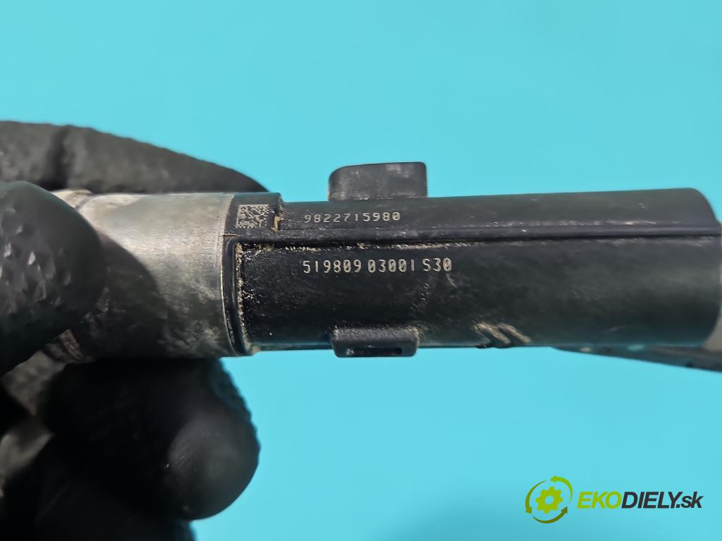 Citroen C3 III 2016-2024 1.2 12V 110 HP manual 81 kW 1199 cm3 5- vstrek 9822715980 (Vstrekovač paliva)