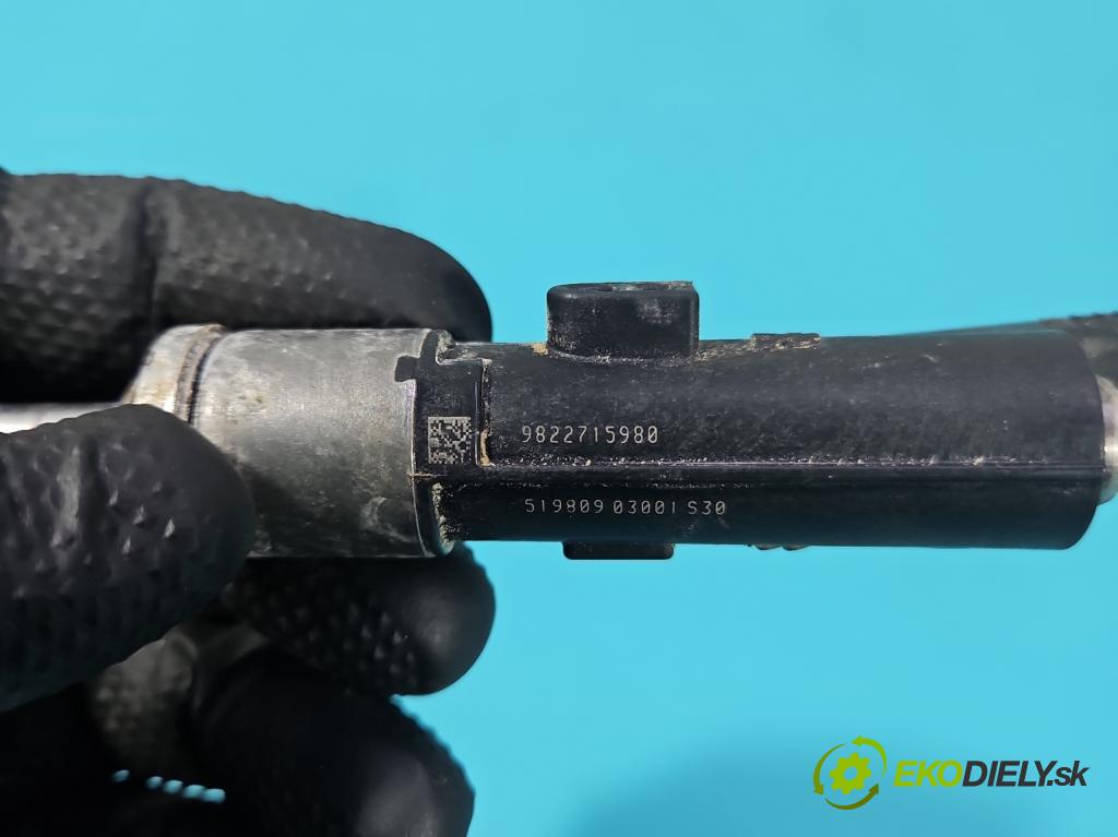 Citroen C3 III 2016-2024 1.2 12V 110 HP manual 81 kW 1199 cm3 5- vstrek 9822715980 (Vstrekovač paliva)