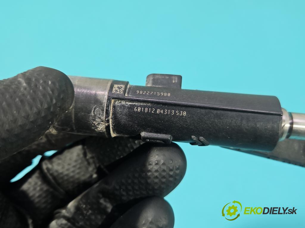 Citroen C3 III 2016-2024 1.2 12V 110 HP manual 81 kW 1199 cm3 5- vstrek 9822715980 (Vstrekovač paliva)