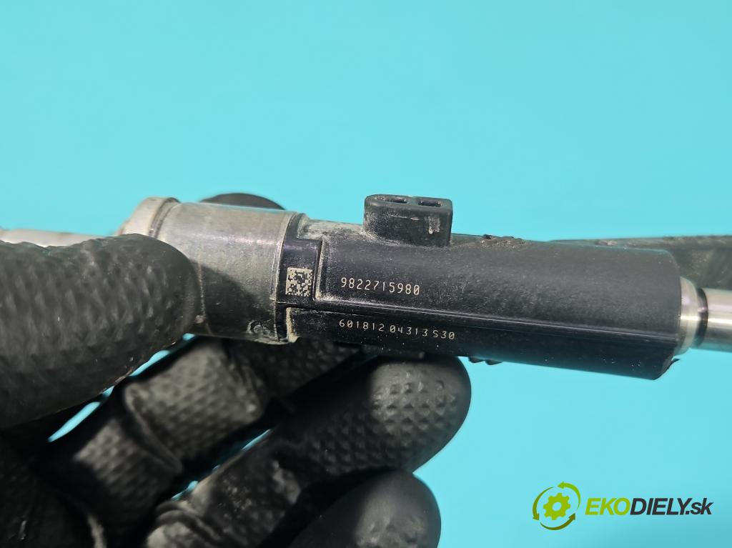 Citroen C3 III 2016-2024 1.2 12V 110 HP manual 81 kW 1199 cm3 5- vstrek 9822715980 (Vstrekovač paliva)