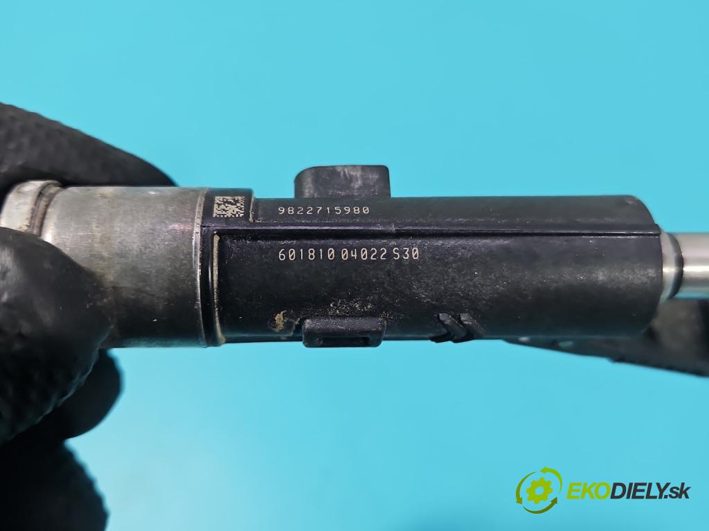 Citroen C3 III 2016-2024 1.2 12V 110 HP manual 81 kW 1199 cm3 5- vstrek 9822715980 (Vstrekovač paliva)