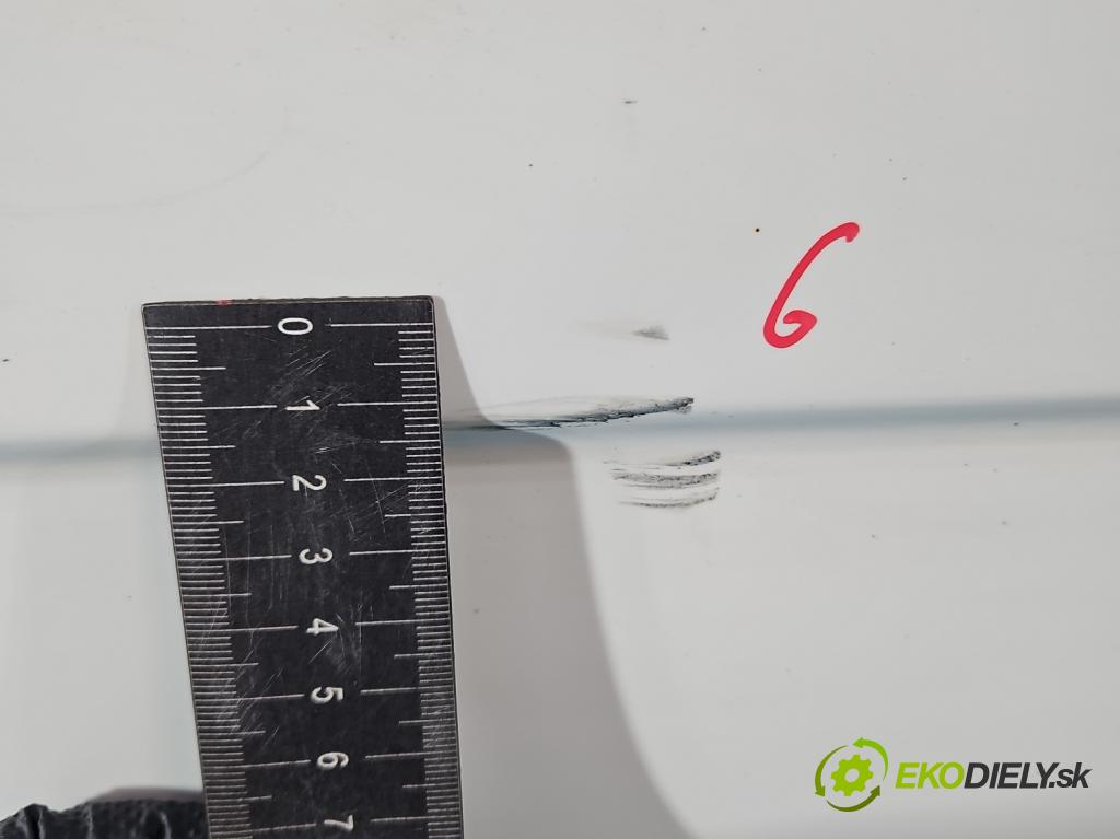 Skoda Fabia II 2007-2014 1.6 tdi CAYA 105 hp manual 77 kW 1598 cm3 5- dveře přední pravé  (Klika dveří ostatní)