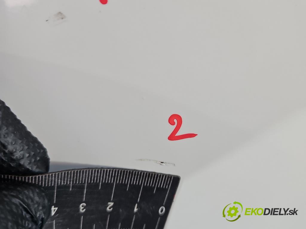 Skoda Fabia II 2007-2014 1.6 tdi CAYA 105 hp manual 77 kW 1598 cm3 5- dveře přední levé  (Klika dveří ostatní)