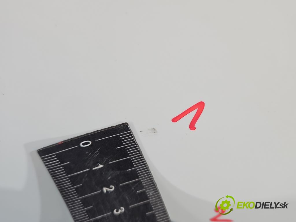 Skoda Fabia II 2007-2014 1.6 tdi CAYA 105 hp manual 77 kW 1598 cm3 5- dveře přední levé  (Klika dveří ostatní)