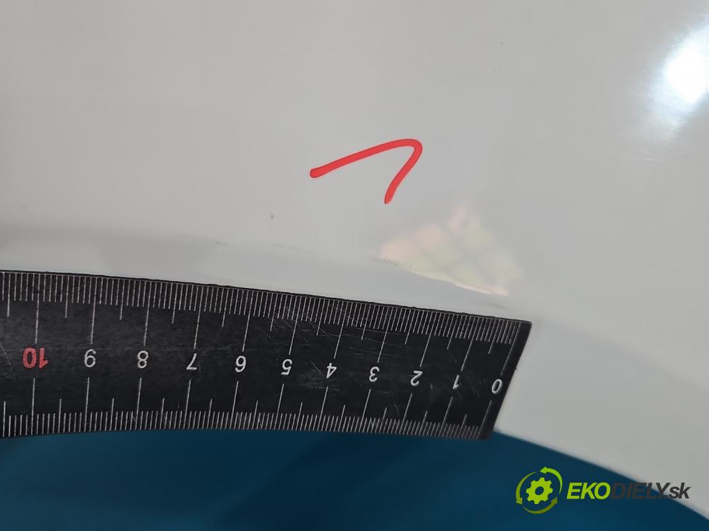 Skoda Fabia II 2007-2014 1.6 tdi CAYA 105 hp manual 77 kW 1598 cm3 5- blatnik přední pravý  (Klika dveří ostatní)