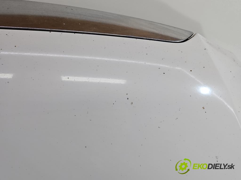 Skoda Fabia II 2007-2014 1.6 tdi CAYA 105 HP manual 77 kW 1598 cm3 5- kapota predná