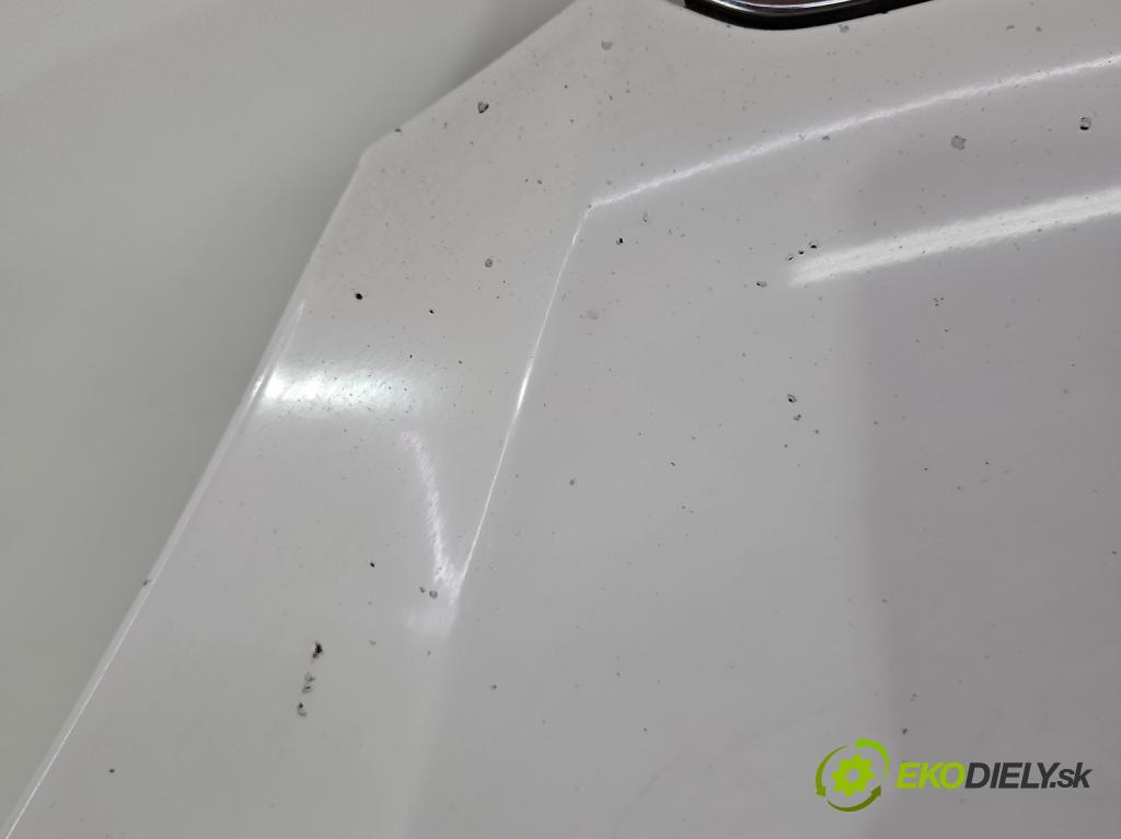 Skoda Fabia II 2007-2014 1.6 tdi CAYA 105 HP manual 77 kW 1598 cm3 5- kapota predná