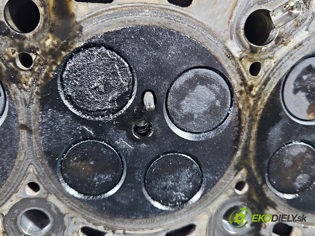 Skoda Fabia II 2007-2014 1.6 tdi CAYA 105 HP manual 77 kW 1598 cm3 5- Hlava: motora 03L103373A